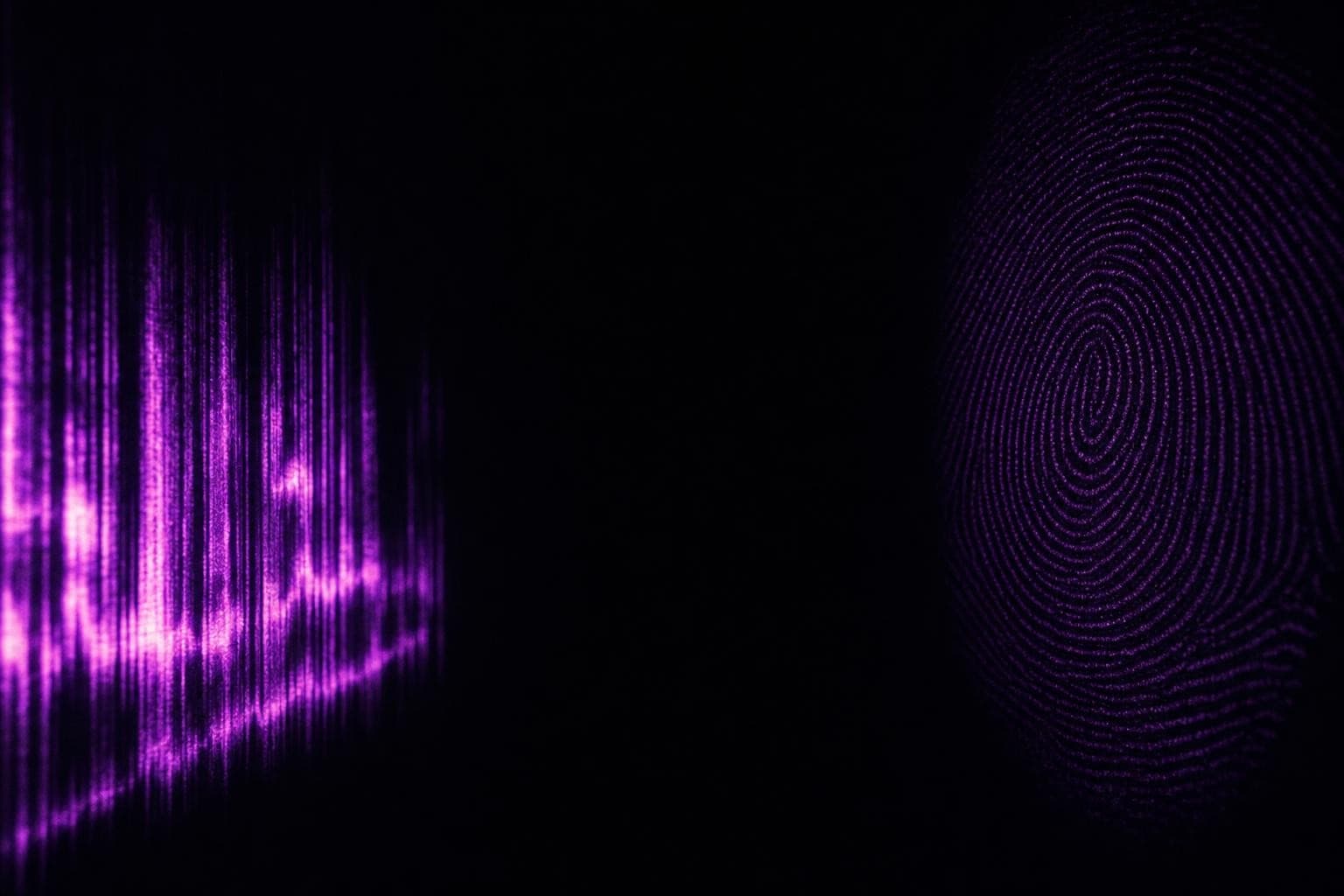 In darkness, a glowing magenta spectrogram of a voice on one side and a faintly glowing concentric ridge pattern on the other, a wide black gap of empty air holding them apart so they never merge.